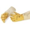 HOLTERMANN| SIPA®Leder Handschuhe Gr. 6