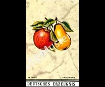 KN| ETIKETTEN klein 53x35mm